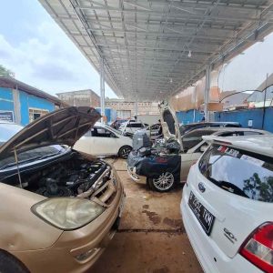 WhatsAppImage2026-02-25at13.20.47